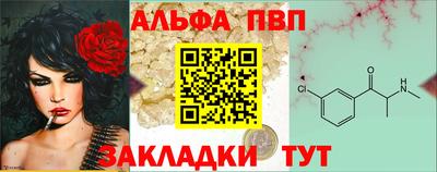 шишки Обь
