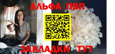шишки Обь