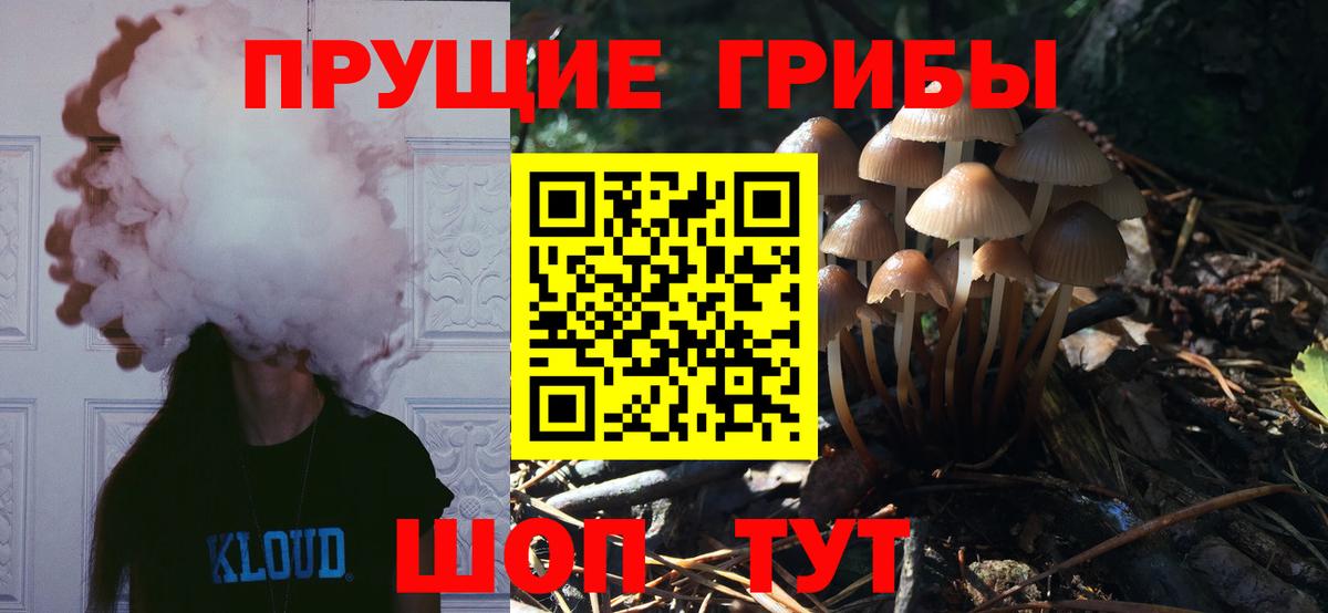 Псилоцибиновые грибы Psilocybe  Вход с VPN  Тольятти 